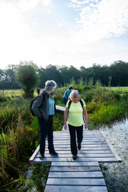 Hindenlopen en Bokkensprongen, Weekend Hertenbronst in het Kempenbroek 2025