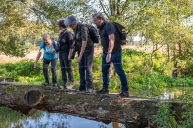 Hindenlopen en Bokkensprongen, Weekend Hertenbronst in het Kempenbroek 2025