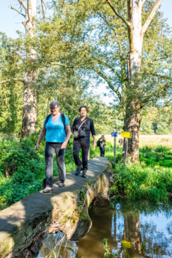 Hindenlopen en Bokkensprongen, Weekend Hertenbronst in het Kempenbroek 2025