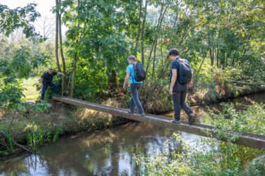 Hindenlopen en Bokkensprongen, Weekend Hertenbronst in het Kempenbroek 2025