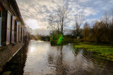 Samenleven met de bever aan de Binkermolen