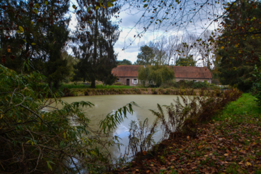 Camping aan De Binkermolen